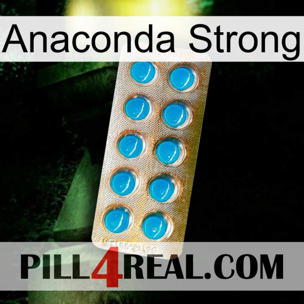 Anaconda Strong new09.jpg